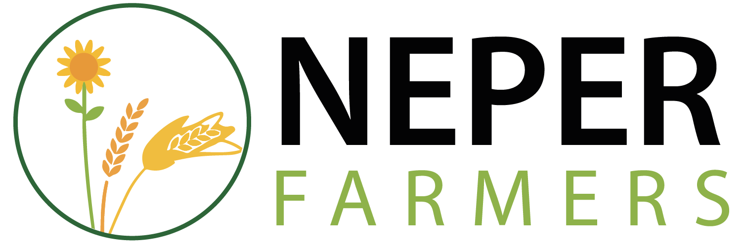 Notre Modèle - NEPER FARMERS
