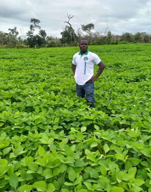 neper-farmer_0015
