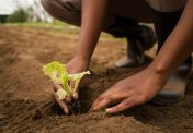 side-view-hands-gardening (1)